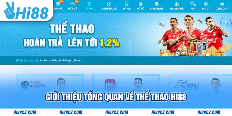 Giới thiệu tổng quan về thể thao Hi88