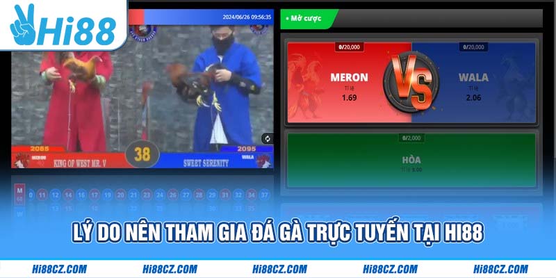 Lý do nên tham gia đá gà trực tuyến tại Hi88